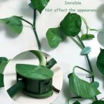 Plant Climbing Wall Clips - Support for Indoor/Outdoor (10 Pcs Set) - Image 2